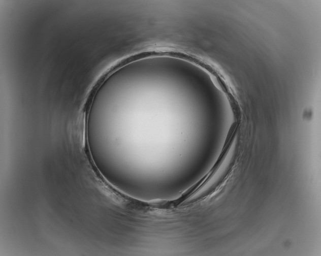 X0000097971175200803241227