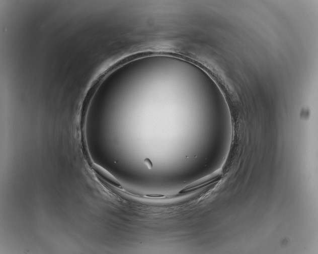 X0000097971176200803241227