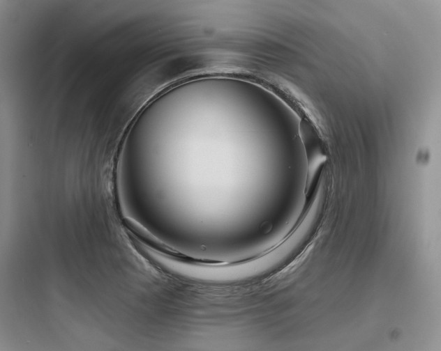 X0000097971177200803241227