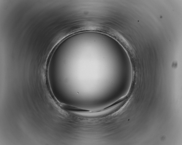 X0000097971178200803241227