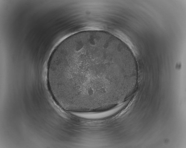 X0000097971179200803241227