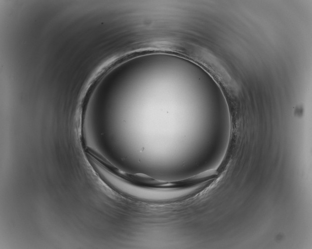 X0000097971180200803241227