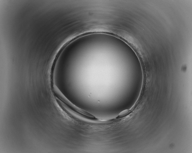 X0000097971181200803241227