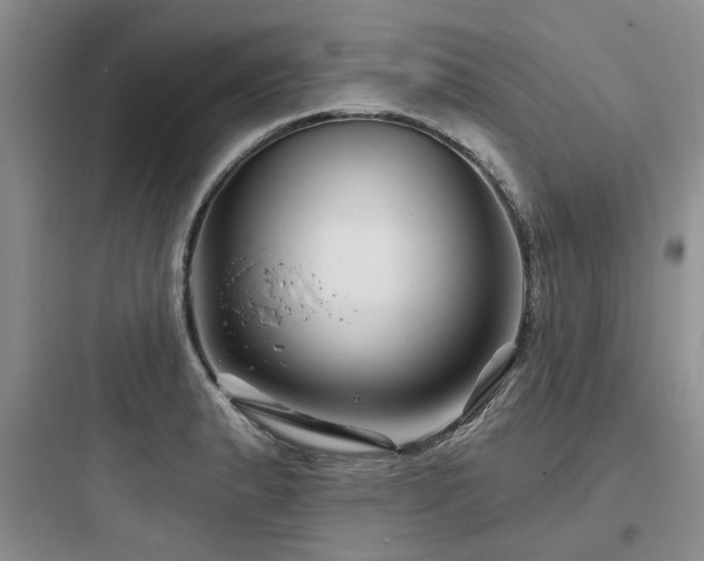 X0000097971183200803241227