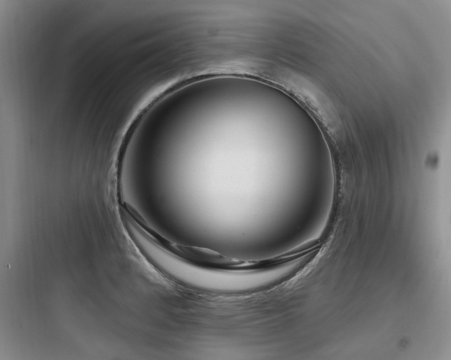 X0000097971184200803241227