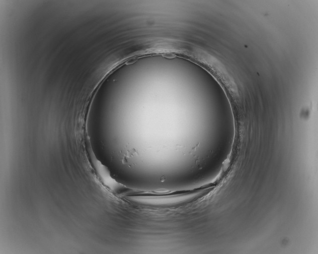X0000097971185200803241227