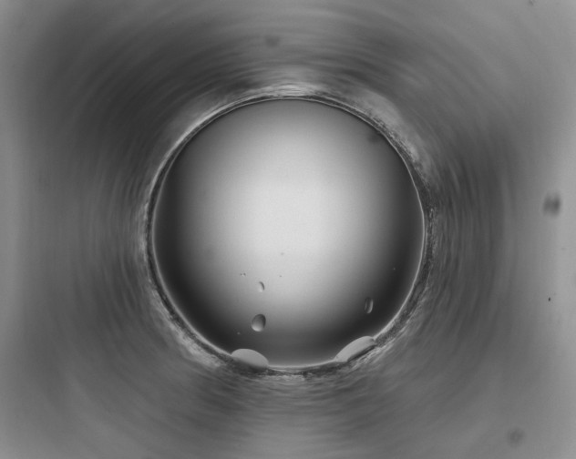 X0000097971186200803241227