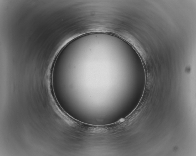 X0000097971187200803241227