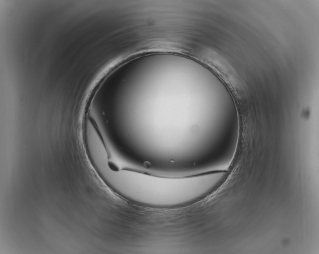 X0000097971188200803241227