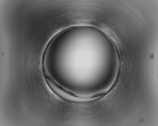 X0000097971189200803241227