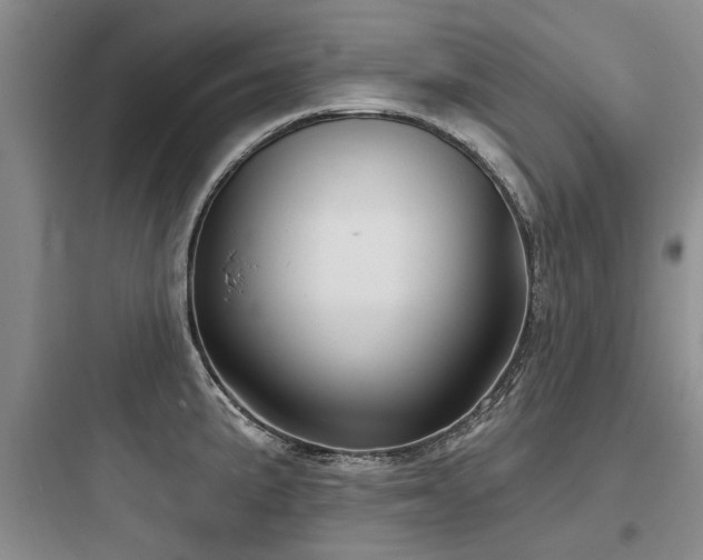 X0000097971191200803241227