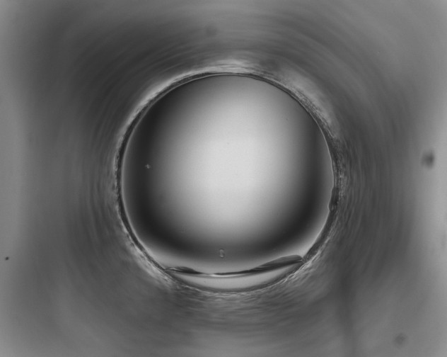 X0000097971192200803241227