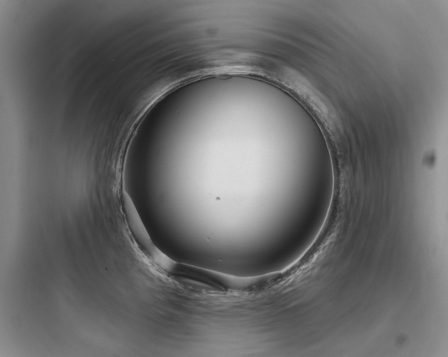 X0000097971193200803241227