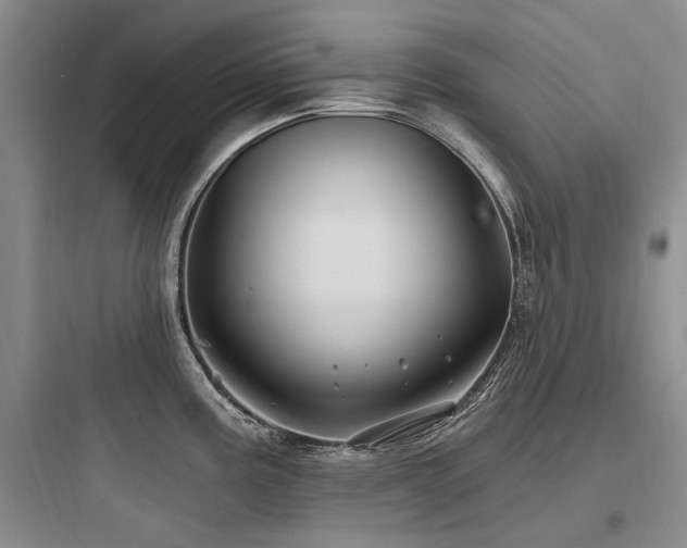 X0000097971195200803241227