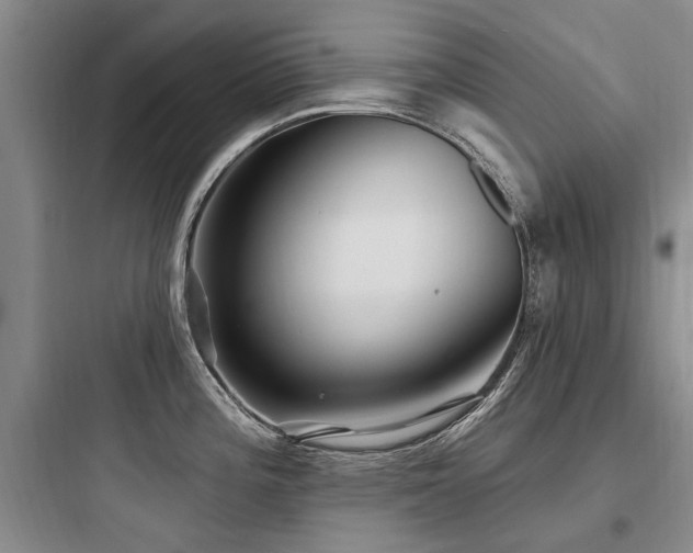 X0000097971196200803241227