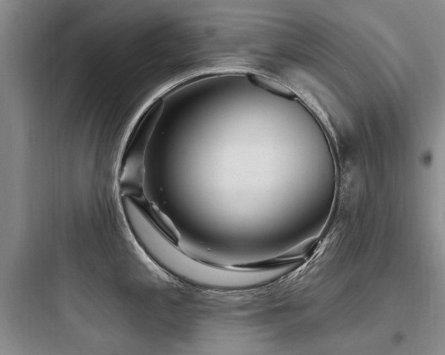 X0000097971197200803241227