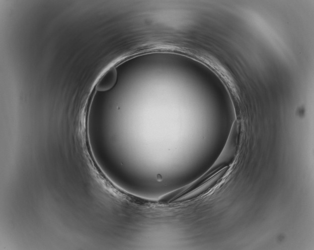X0000097971198200803241227