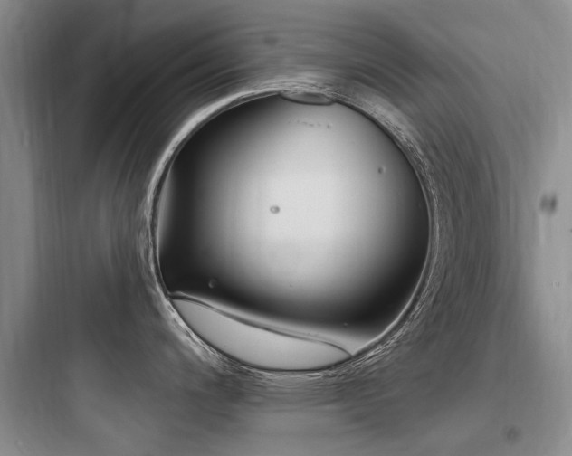 X0000097971200200803241227