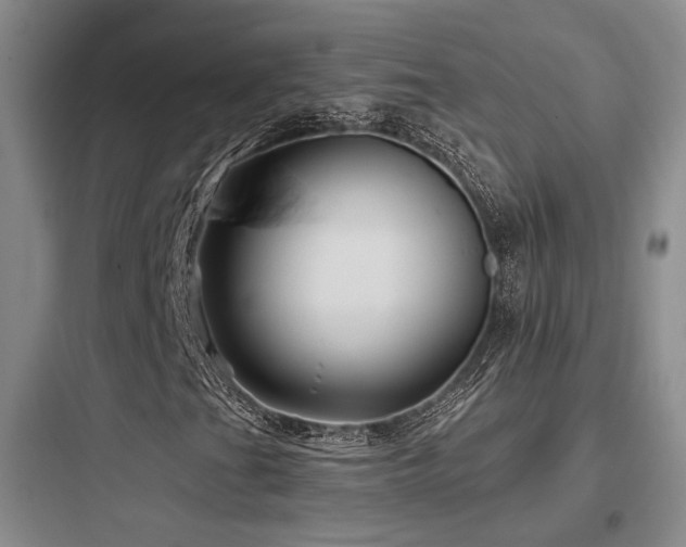 X0000097971201200803241226