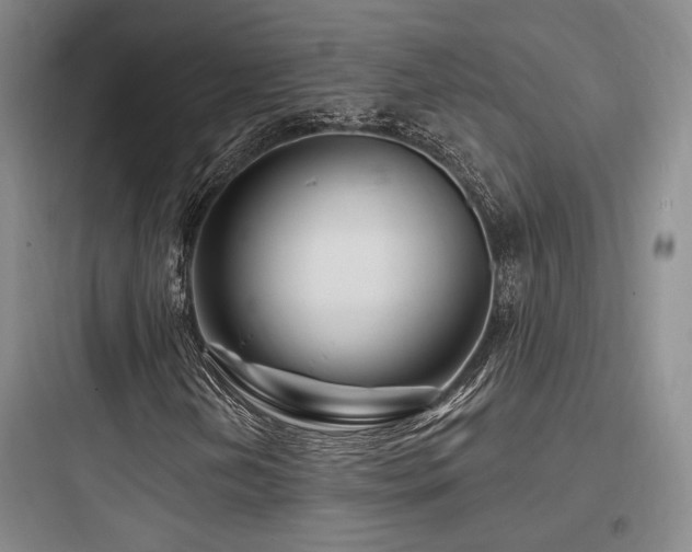 X0000097971202200803241226