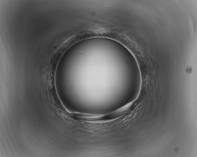 X0000097971205200803241226