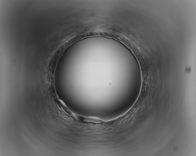 X0000097971207200803241226