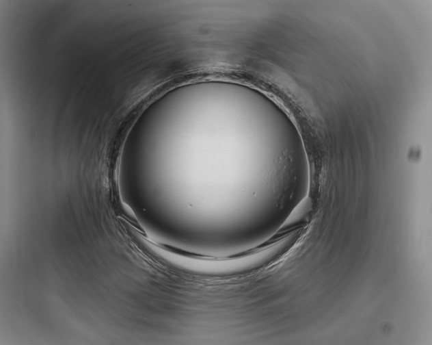 X0000097971209200803241226