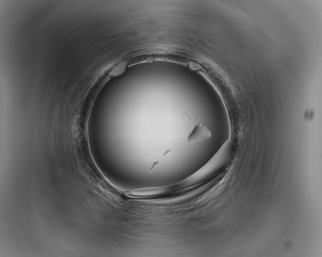 X0000097971210200803241226