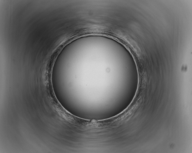X0000097971211200803241226