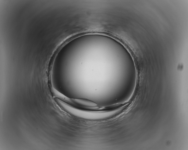 X0000097971212200803241226
