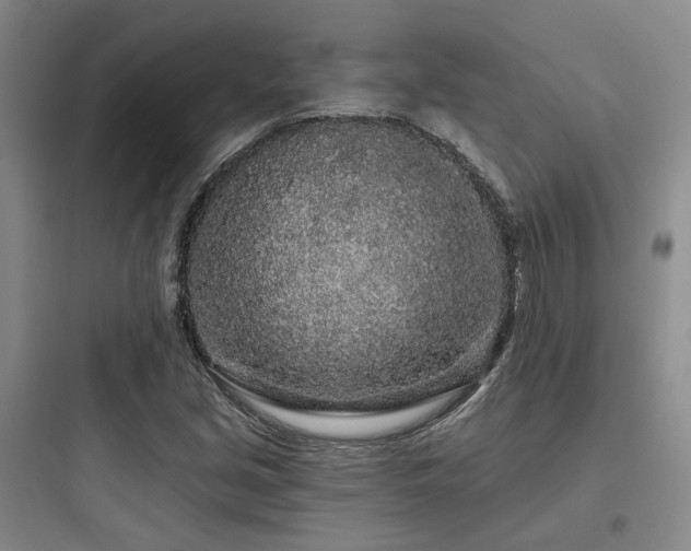 X0000097971213200803241226