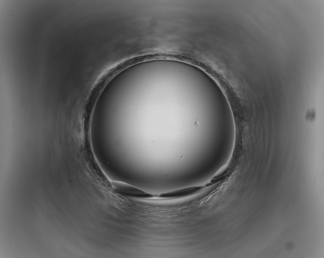 X0000097971214200803241226