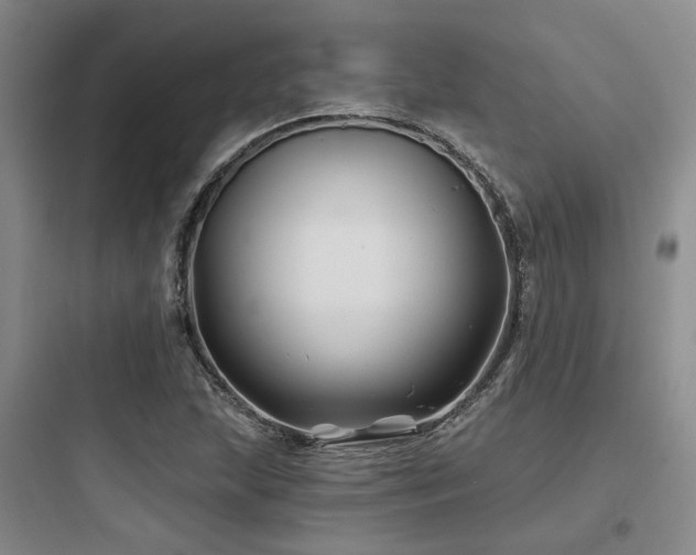 X0000097971215200803241226