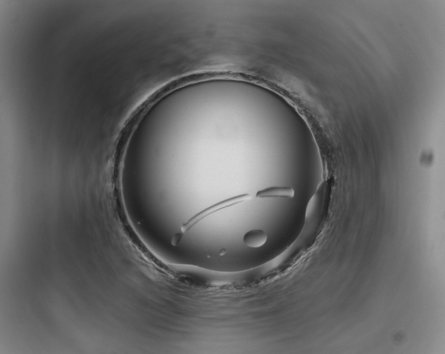 X0000097971216200803241226