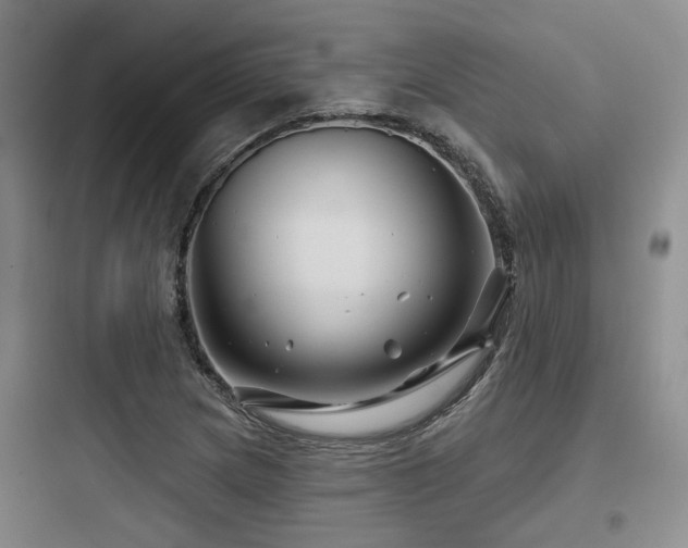 X0000097971217200803241226