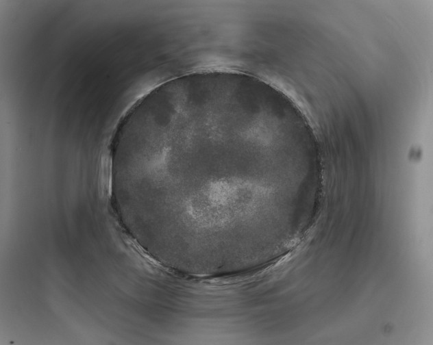 X0000097971219200803241226