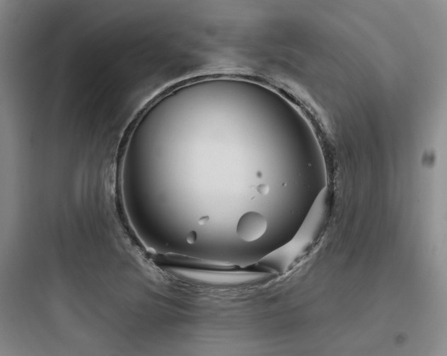 X0000097971220200803241226