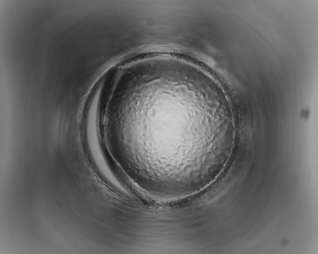X0000097971221200803241227