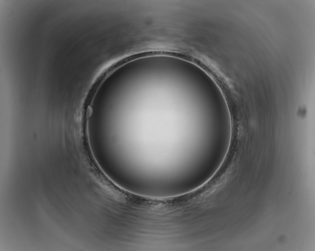 X0000097971222200803241227