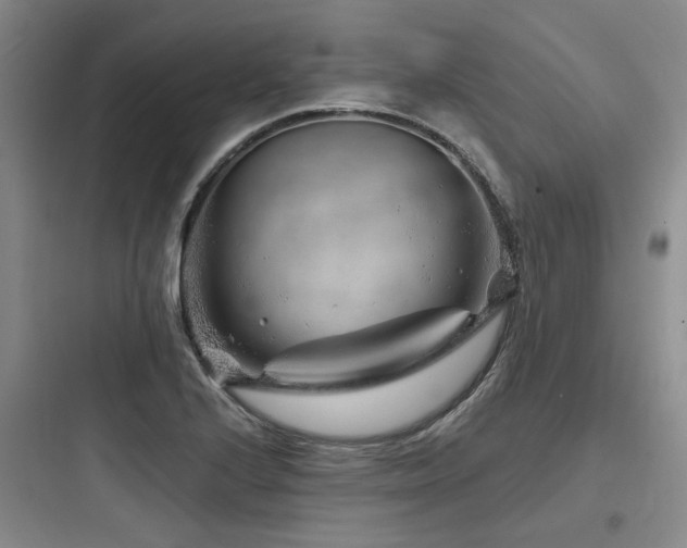 X0000097971224200803241227