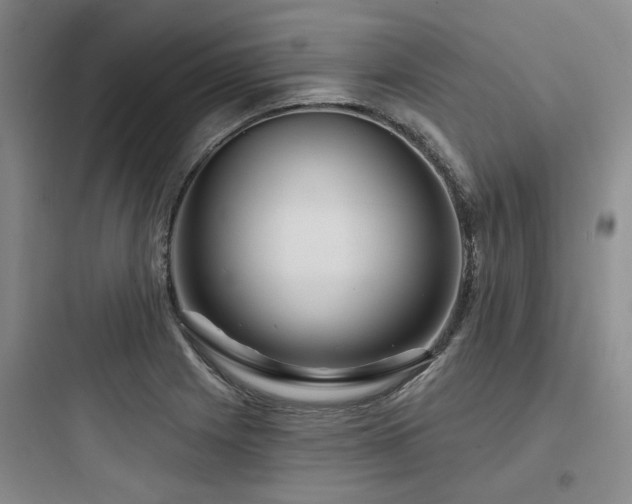 X0000097971225200803241227