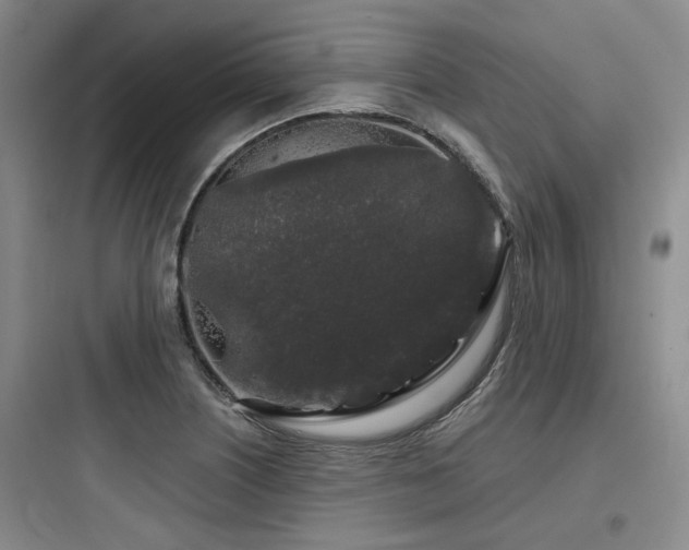 X0000097971226200803241227