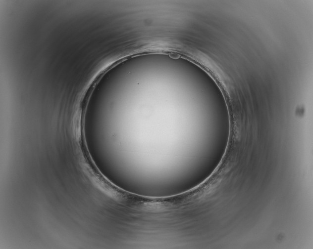X0000097971227200803241227