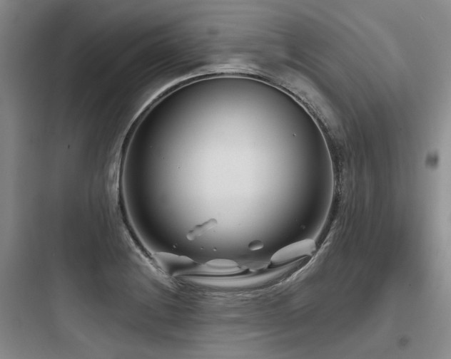 X0000097971228200803241227