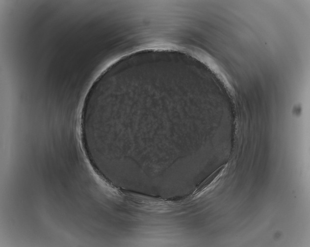X0000097971229200803241227