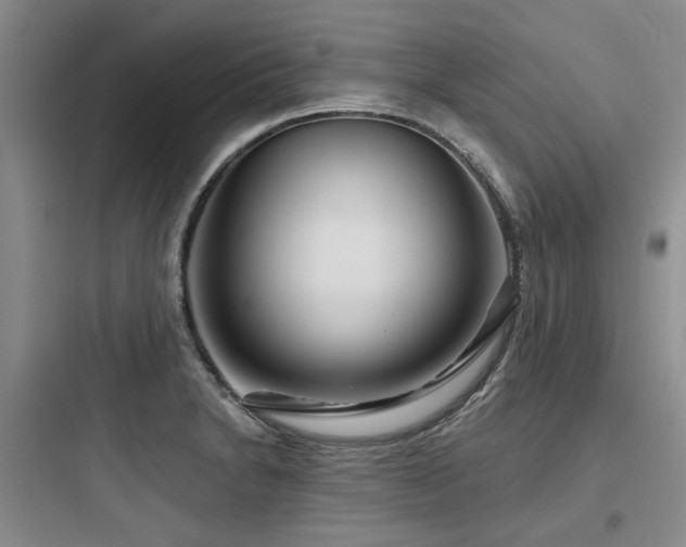 X0000097971230200803241227