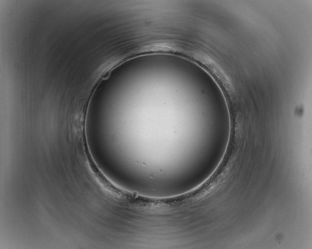 X0000097971233200803241227