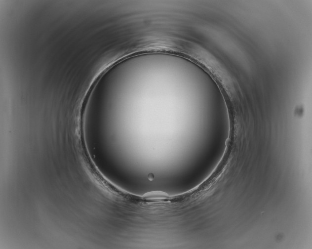 X0000097971234200803241227