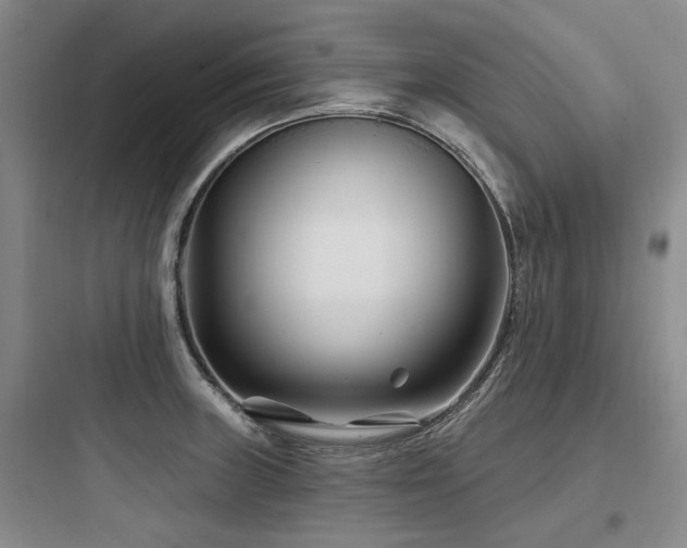 X0000097971235200803241227