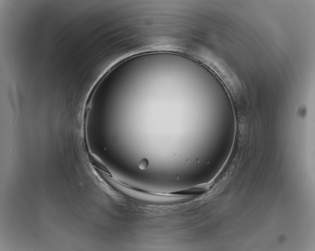 X0000097971236200803241227